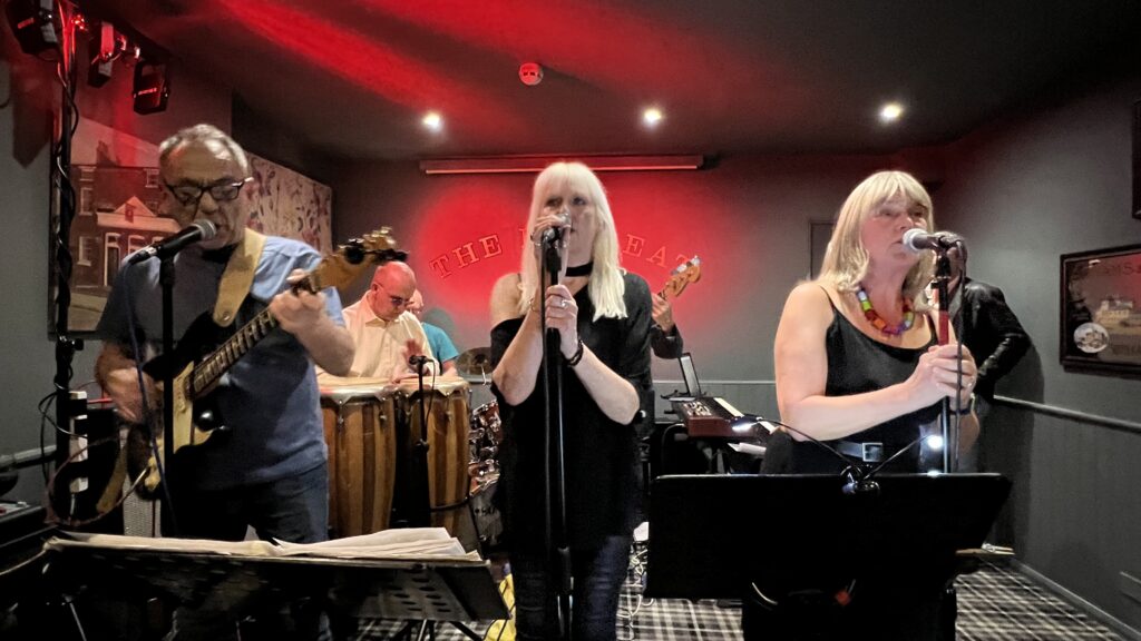 Rufus Ruffcut live at The Retreat pub in Reading